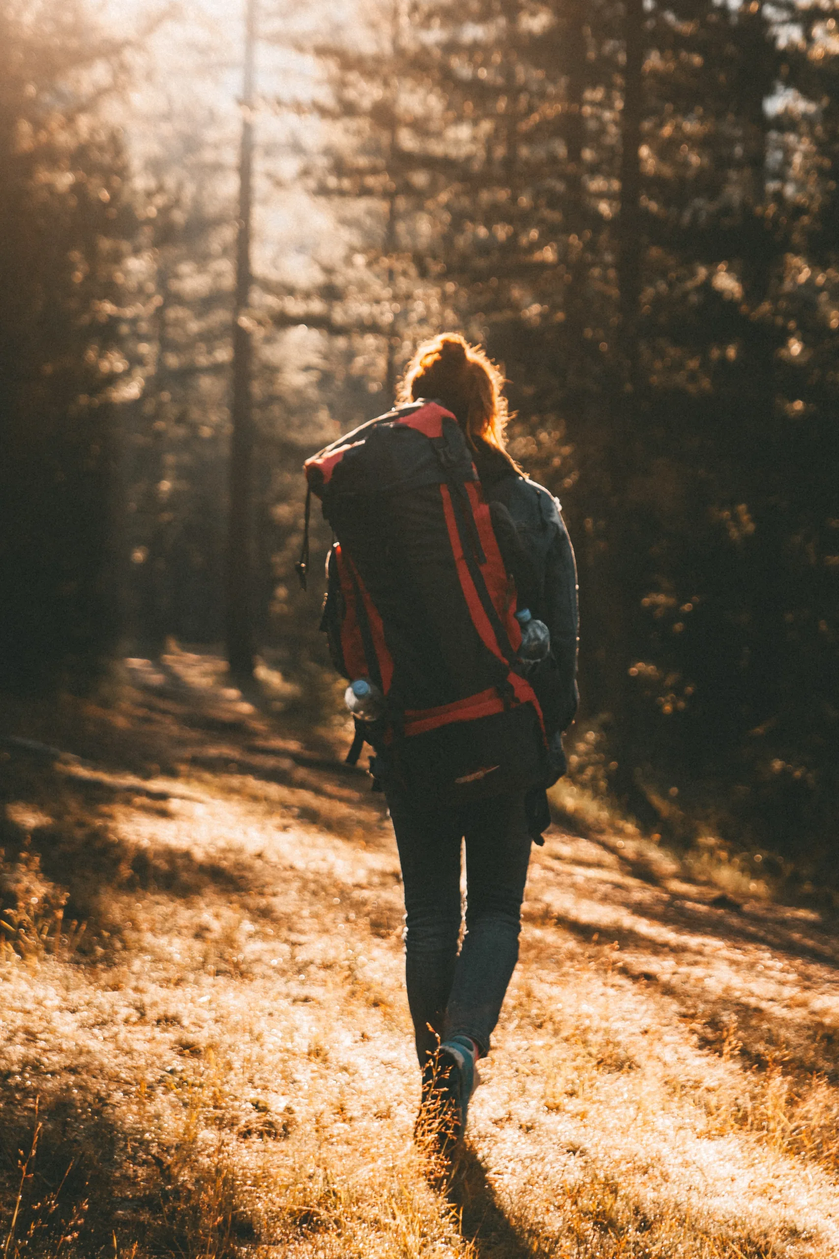pexels-dmitriy-ganin-7772723 bilan de compétences